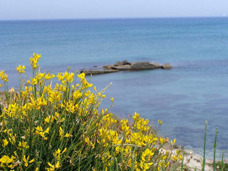 A play of colours in blue, green and turquoise